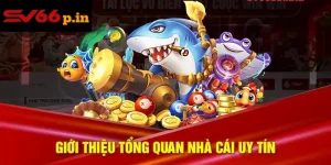 SV66 có lừa đảo không